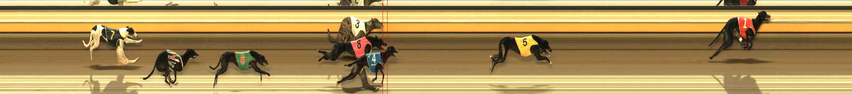Photo finish for Warrnambool Race 7