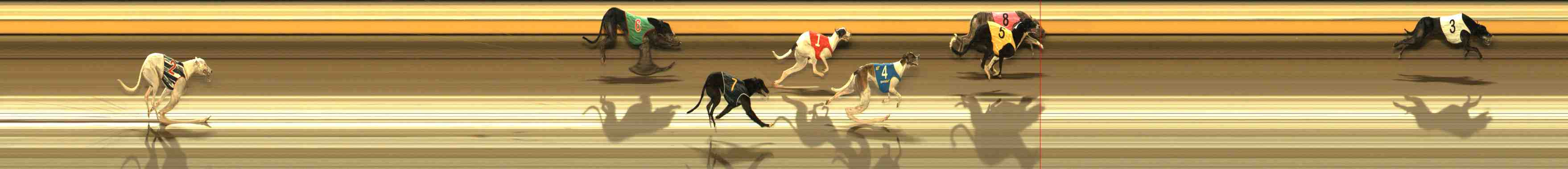 Photo finish for Warrnambool Race 8