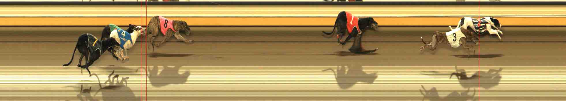 Photo finish for Warrnambool Race 9