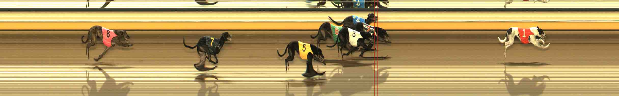 Photo finish for Warrnambool Race 10