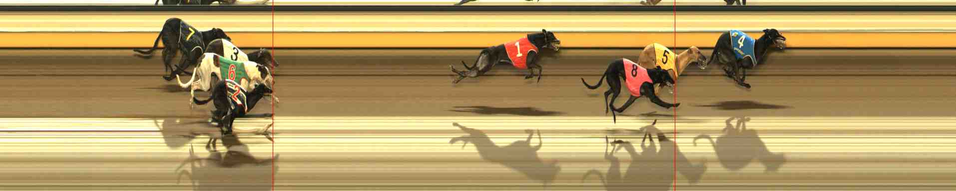 Photo finish for Warrnambool Race 11