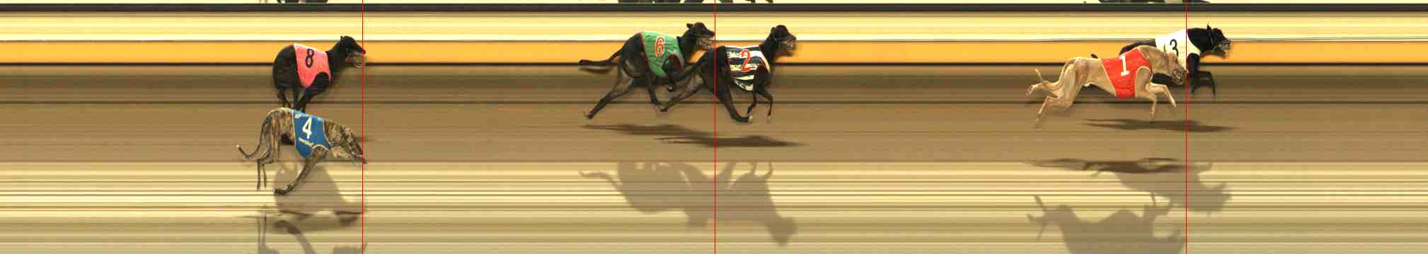 Photo finish for Warrnambool Race 12