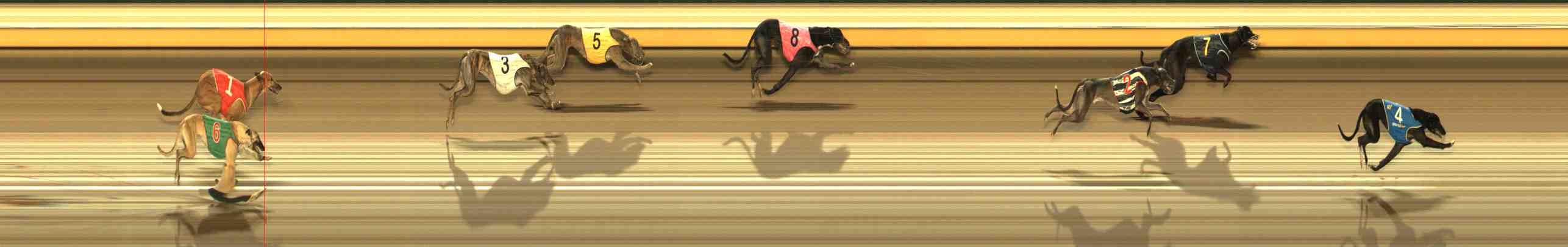Photo finish for Warrnambool Race 13