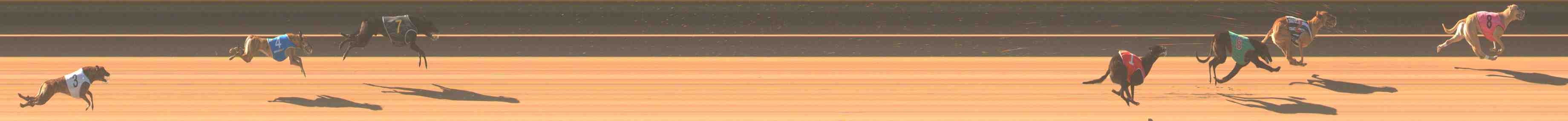 Race result finish photo