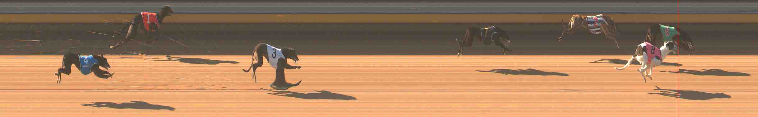 Photo finish for Warrnambool Race 2