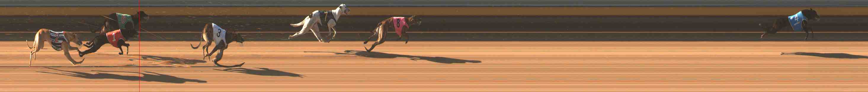 Race result finish photo