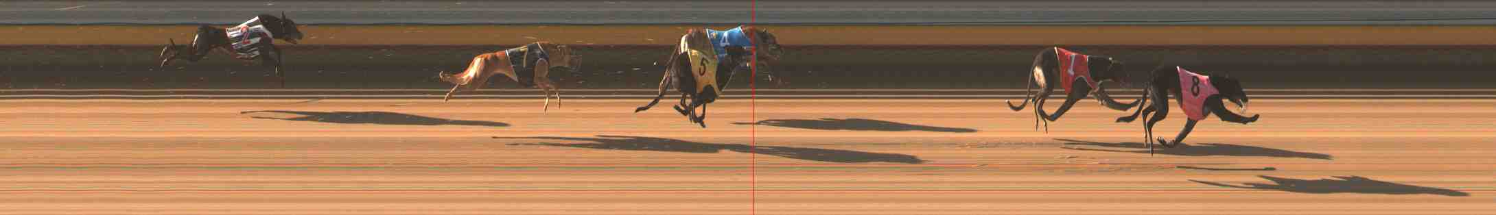 Race result finish photo