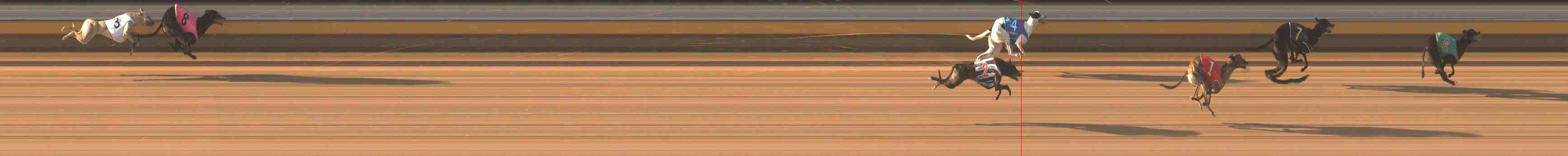 Race result finish photo