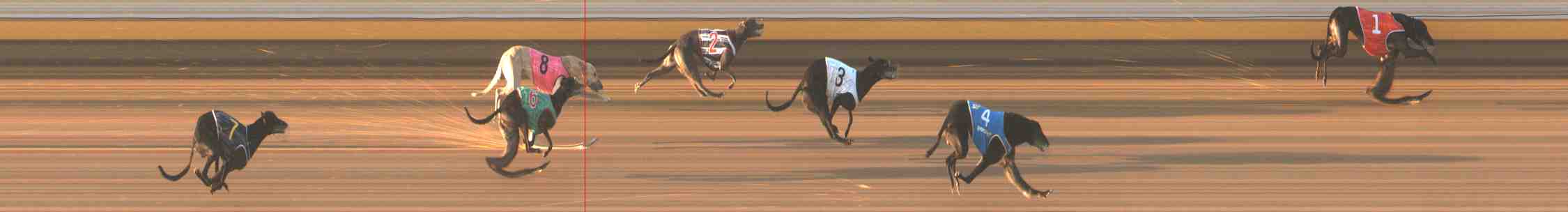 Photo finish for Warrnambool Race 7