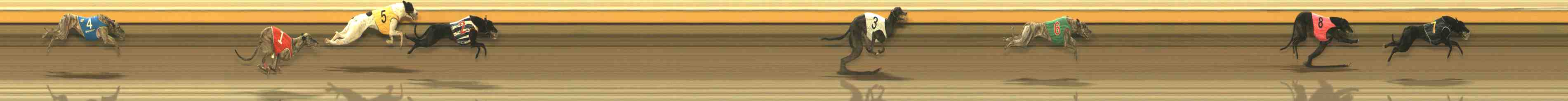 Race result finish photo