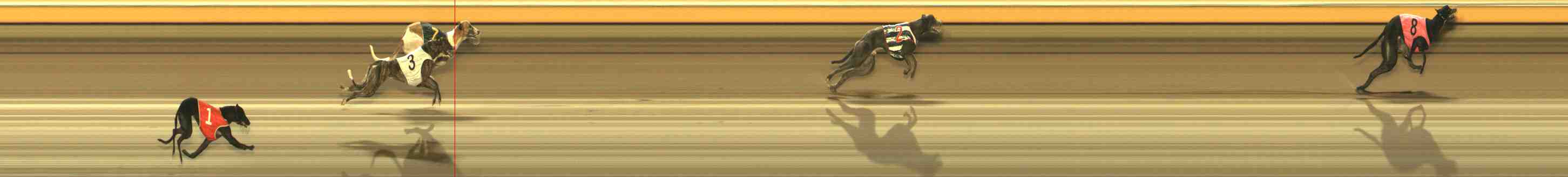 Race result finish photo