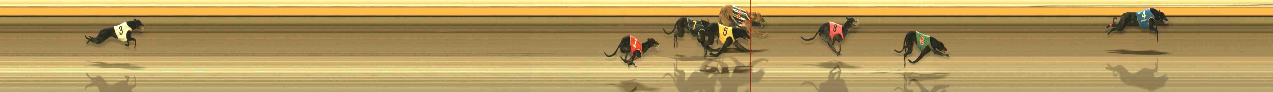 Photo finish for Warrnambool Race 11