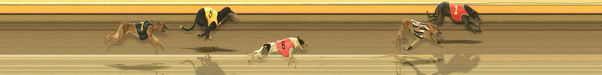 Photo finish for Warrnambool Race 13