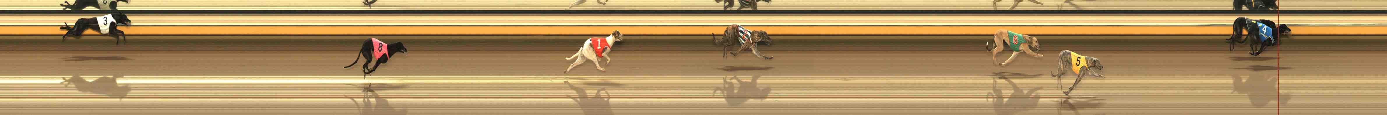 Race result finish photo