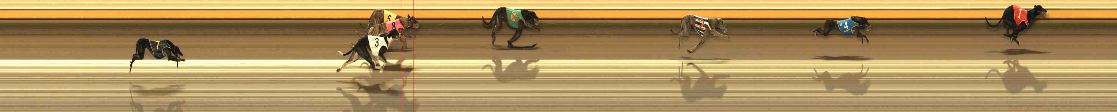 Photo finish for Warrnambool Race 2