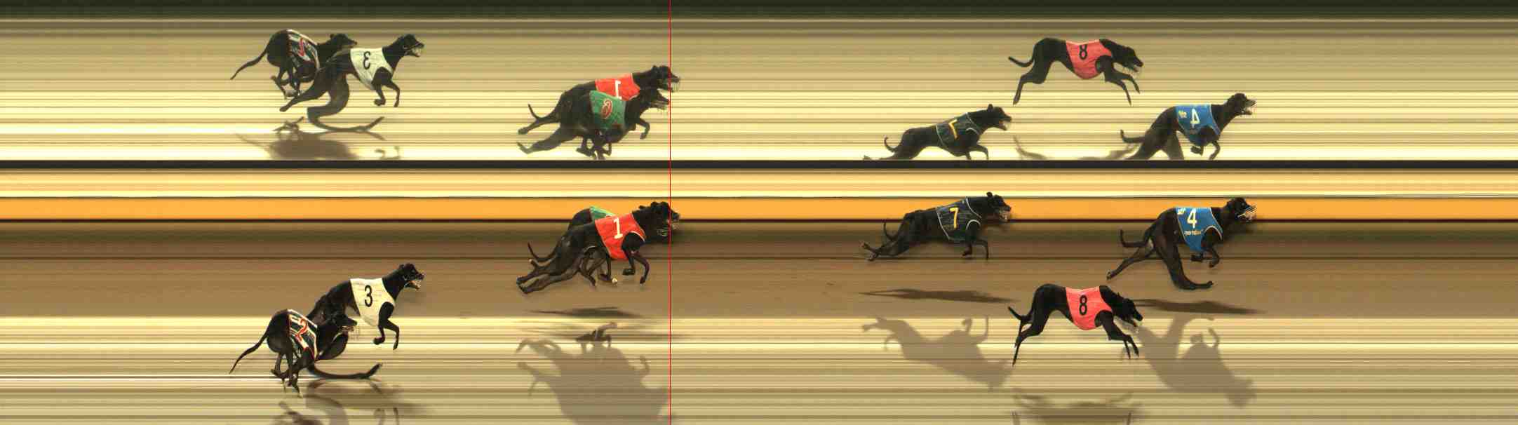 Photo finish for Warrnambool Race 3