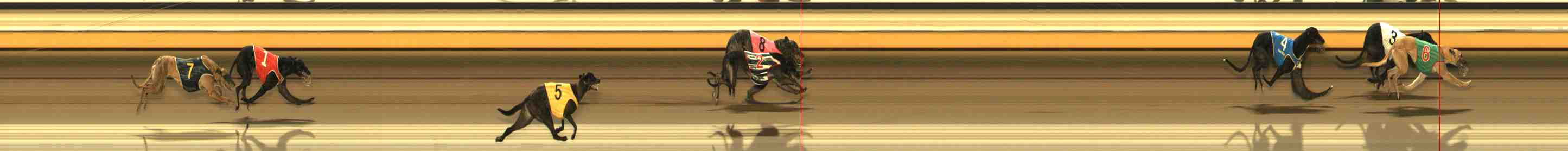 Photo finish for Warrnambool Race 4