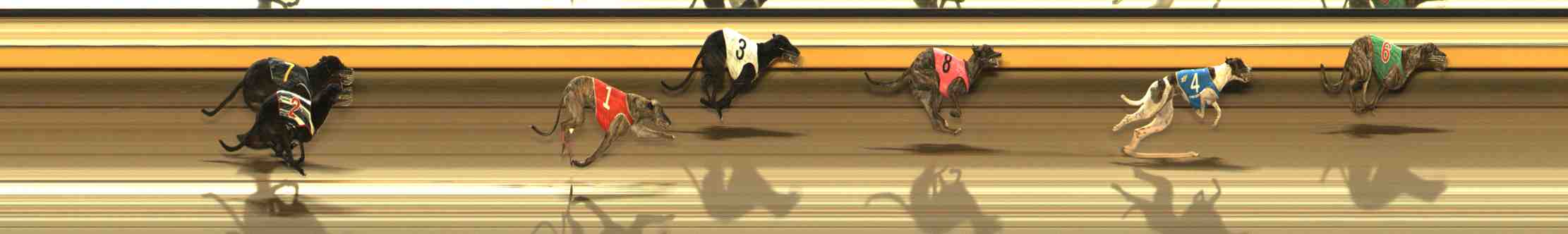 Photo finish for Warrnambool Race 5