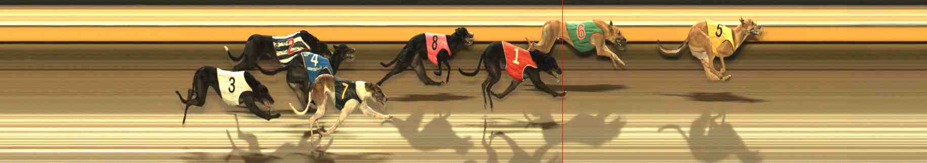 Photo finish for Warrnambool Race 6