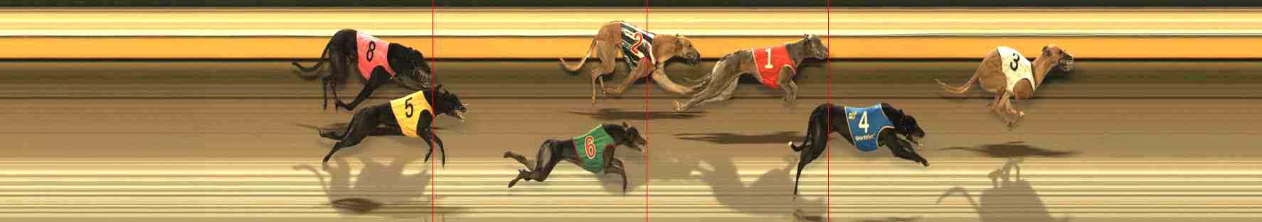 Photo finish for Warrnambool Race 7