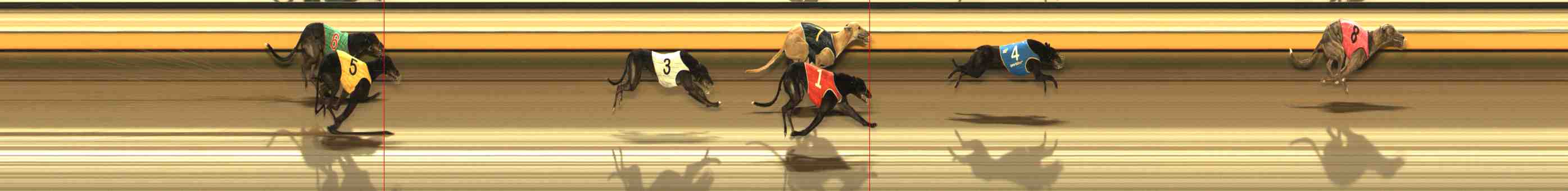 Photo finish for Warrnambool Race 8
