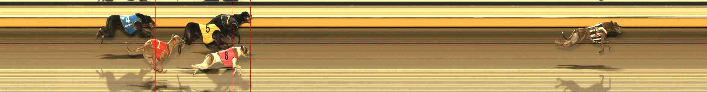 Photo finish for Warrnambool Race 9