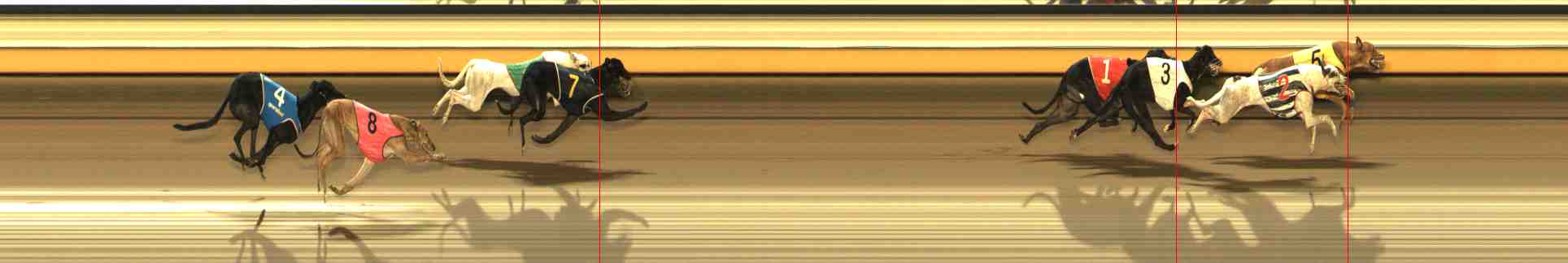 Photo finish for Warrnambool Race 10