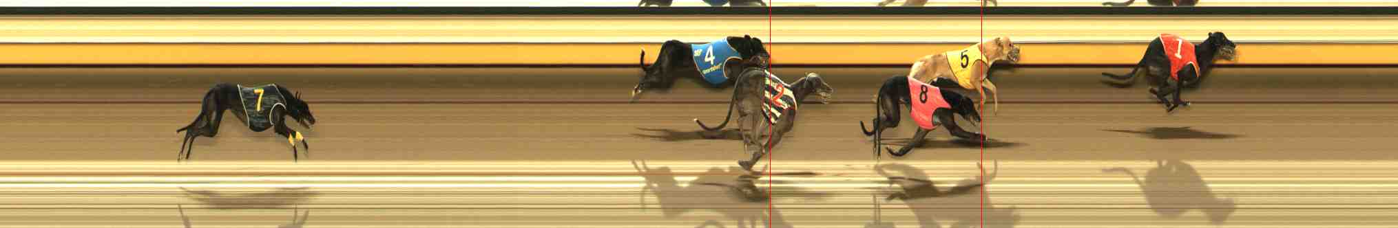Photo finish for Warrnambool Race 12
