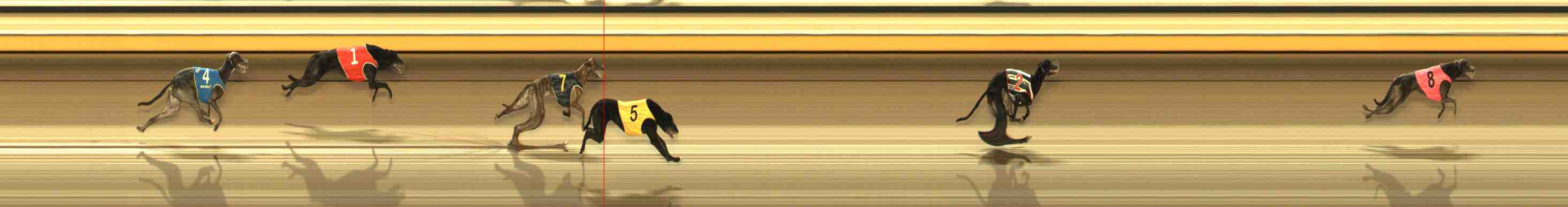 Photo finish for Warrnambool Race 13