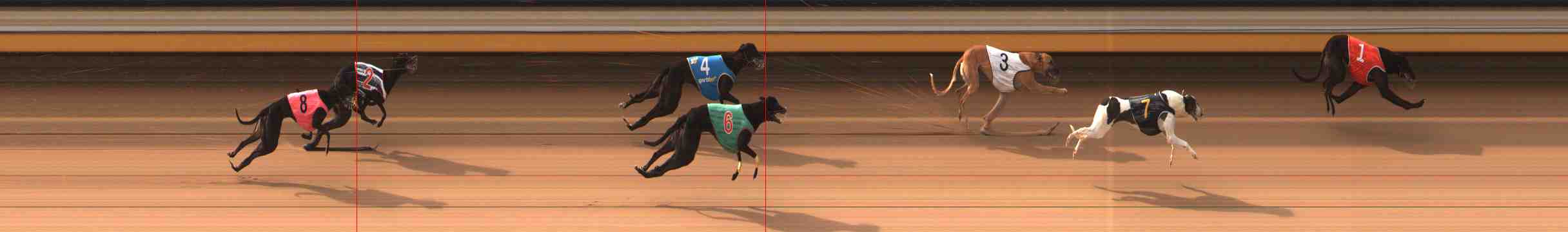 Photo finish for Warrnambool Race 1