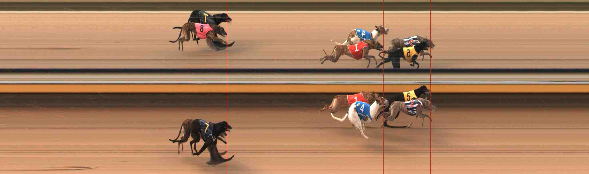 Photo finish for Warrnambool Race 2