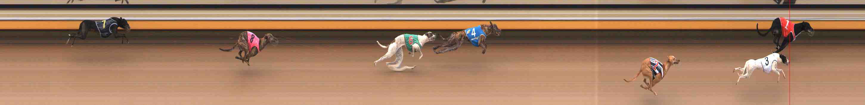 Photo finish for Warrnambool Race 3