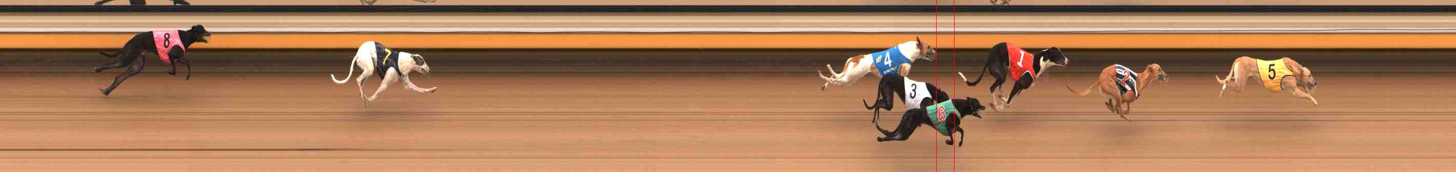 Photo finish for Warrnambool Race 4