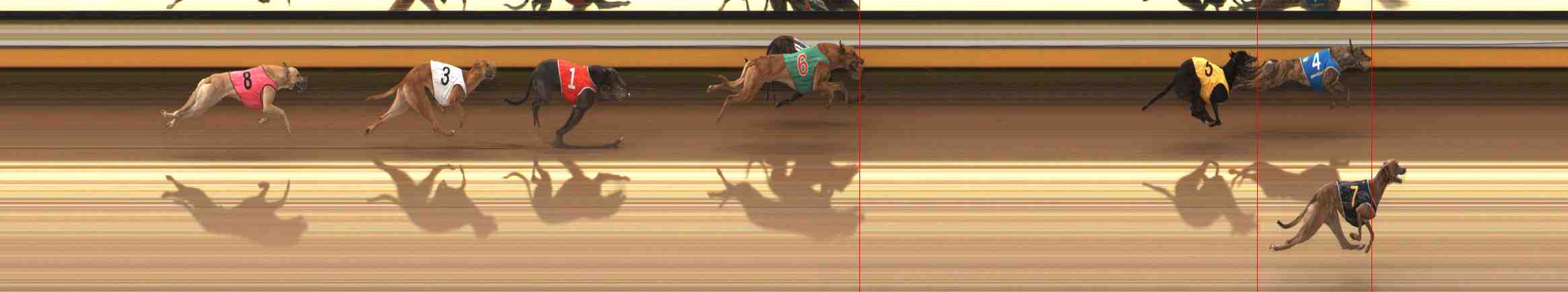Photo finish for Warrnambool Race 5