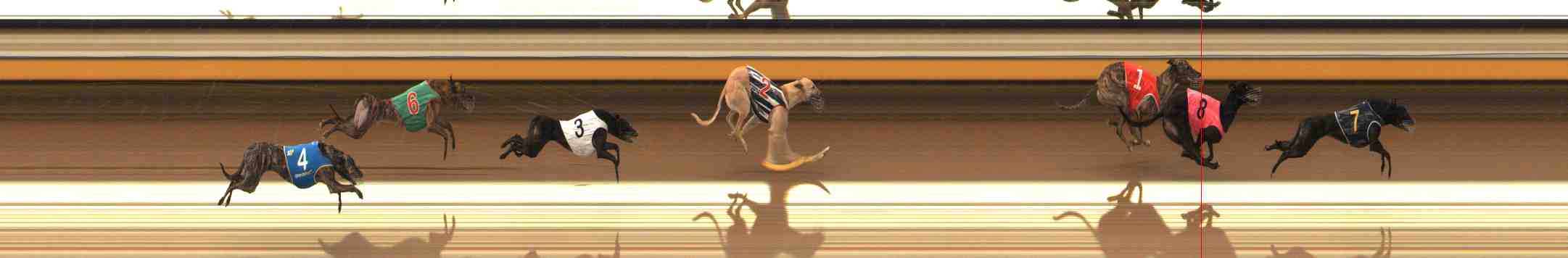 Photo finish for Warrnambool Race 6