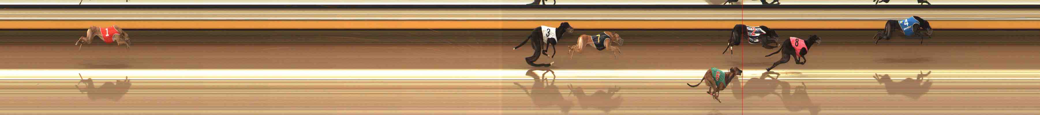 Photo finish for Warrnambool Race 7