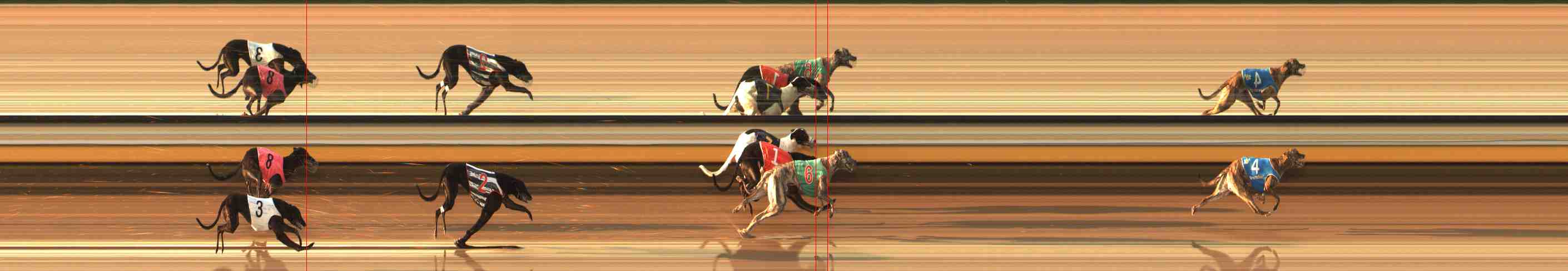 Photo finish for Warrnambool Race 8