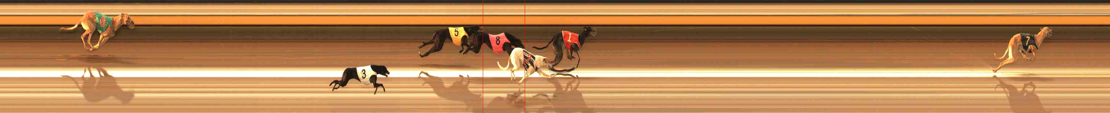 Photo finish for Warrnambool Race 9