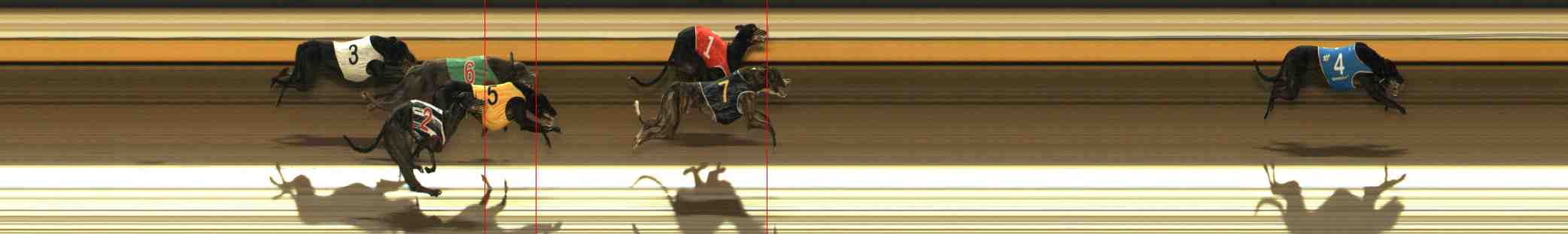 Photo finish for Warrnambool Race 10