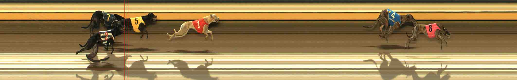 Photo finish for Warrnambool Race 11