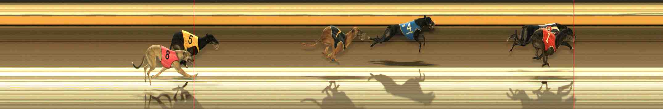 Photo finish for Warrnambool Race 12