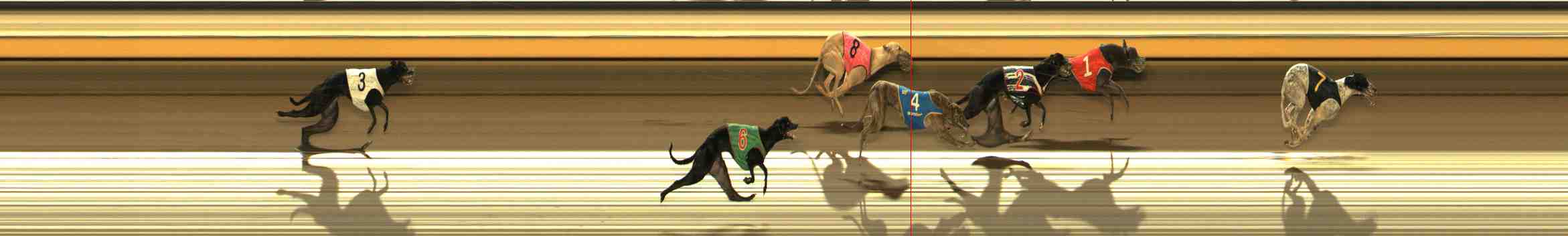 Photo finish for Warrnambool Race 13