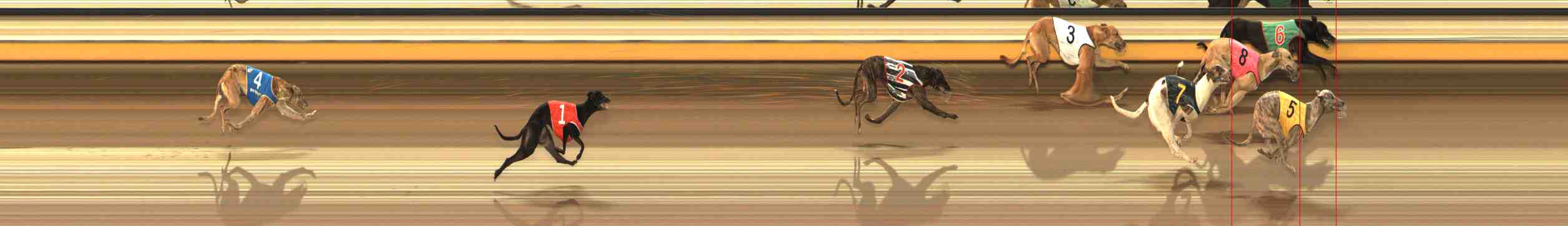 Photo finish for Warrnambool Race 1
