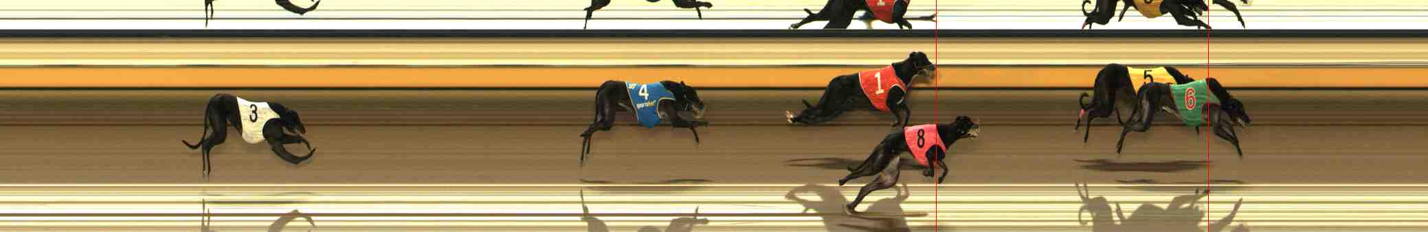 Photo finish for Warrnambool Race 2