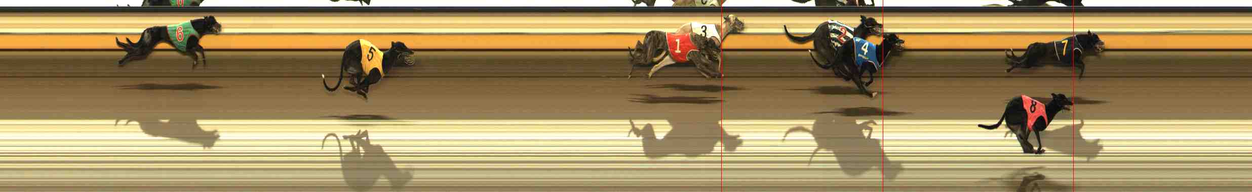 Photo finish for Warrnambool Race 3