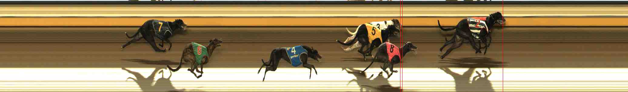 Photo finish for Warrnambool Race 4