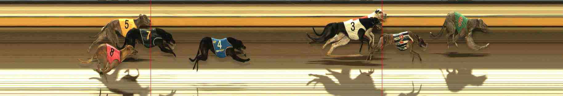 Photo finish for Warrnambool Race 5