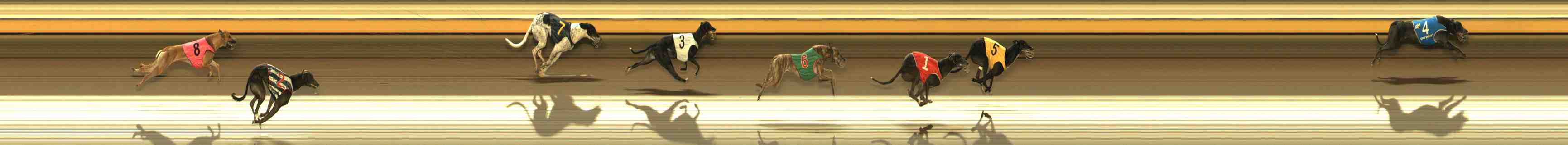 Photo finish for Warrnambool Race 6