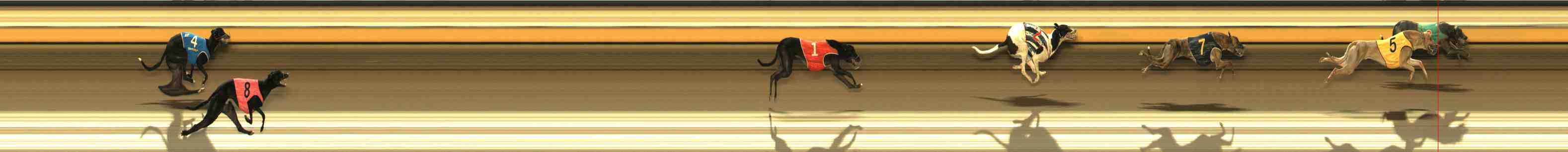 Photo finish for Warrnambool Race 7