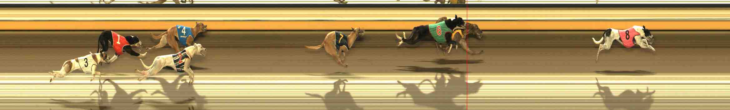Photo finish for Warrnambool Race 9